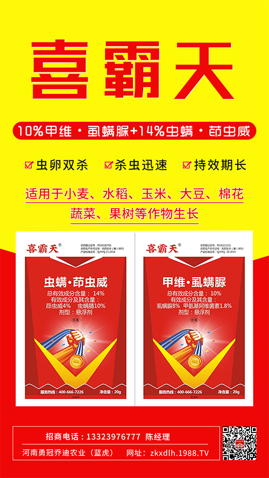 С�˶��������xΣ����̫�y�����@����ˎ��һ��һ����!