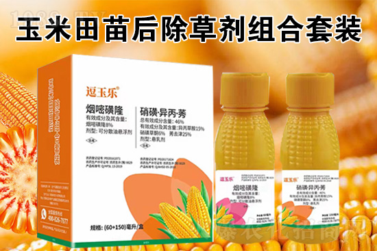 ���׳��݄���ô�������Ч��