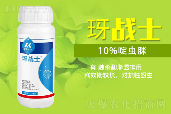 早春蚜蟲很容易大爆發(fā)，怎么避免黃瓜蚜蟲危害？