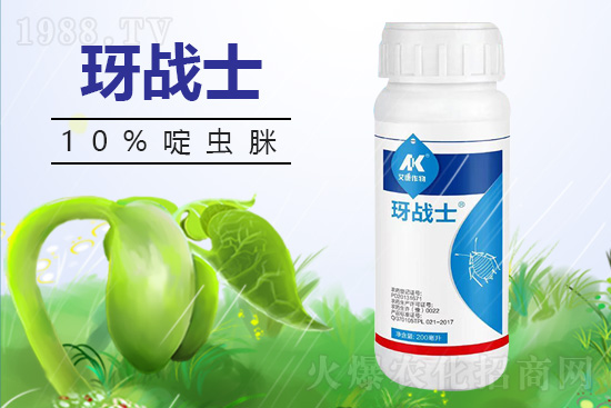 早春蚜蟲很容易大爆發(fā)，怎么避免黃瓜蚜蟲危害？