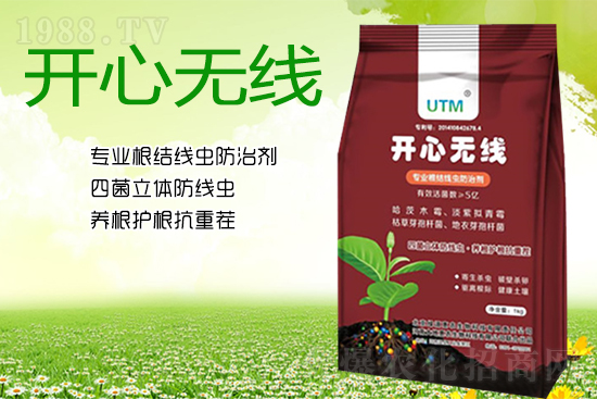 ���Y(ji��)���xΣ���������x������Ҋ�R����