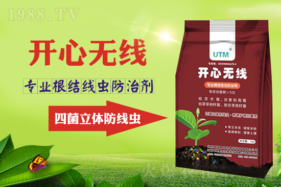 ���Y(ji��)���xΣ���󣿾��x������Ҋ�R����