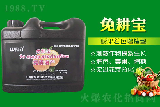 番茄催紅措施怎么做?有什么技巧?