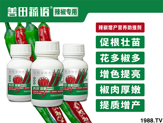 �Ĵ������r(n��ng)���Ƽ����޹�˾