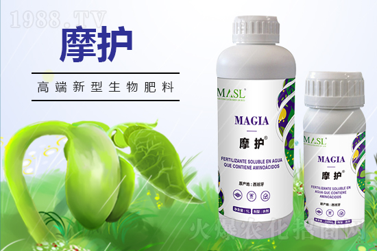 黃瓜苗期管理，需要注意哪些問題？