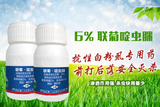 ���԰׷�ʭ�y�����y�����@����ˎ�x���p�������x��