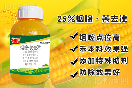 ���׳������e���@�׷N���݄���