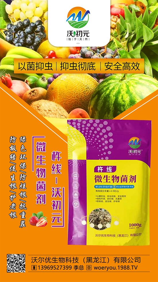 ����ĸ�ϵ���Q������Įa(ch��n)��