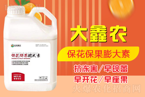 �ļ���������ٲ�������α��������