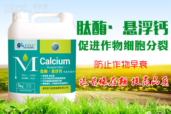 蘋果樹花后補(bǔ)鈣很關(guān)鍵！蘋果補(bǔ)鈣的四個(gè)誤區(qū)你知道嗎？