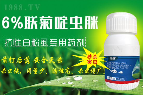 ϲ��(b��o)��1988.TVϲӭ�����ѣ��̎��r(n��ng)�I(y��)��(qi��ng)��(sh��)���u��