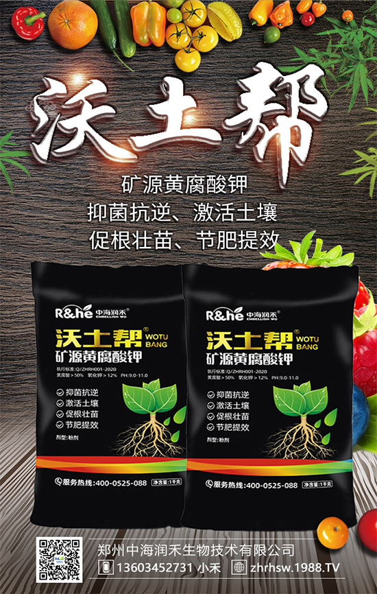 礦源黃腐酸鉀怎么用？放到地里幾天能看到效果？