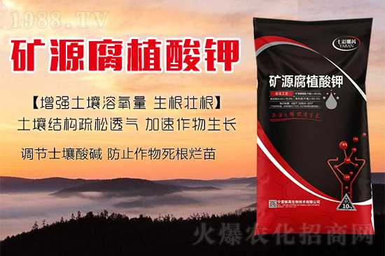 ����Nֲ��������(d��ng)�ׂ��������Ӹ��Ƹ�ϵ��r����