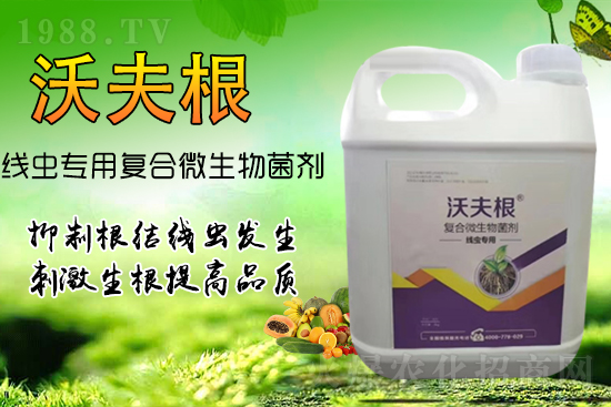 根結(jié)線蟲(chóng)侵染作物根部？教你幾招，不反彈效果更!