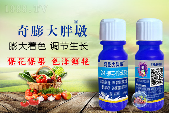     ������Ҫ�߮a��������P�I���������������Dɫ�����u��ѣ����ڵĮa����Ʒ�|�����������S��Ĺ��r���r������ӳ�Լҵ���������ס���������������������������������ܛ���չ�����r�l���l(f��)����