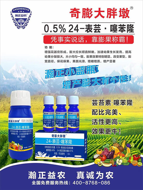     ������Ҫ�߮a��������P�I���������������Dɫ�����u��ѣ����ڵĮa����Ʒ�|�����������S��Ĺ��r���r������ӳ�Լҵ���������ס���������������������������������ܛ���չ�����r�l���l(f��)����