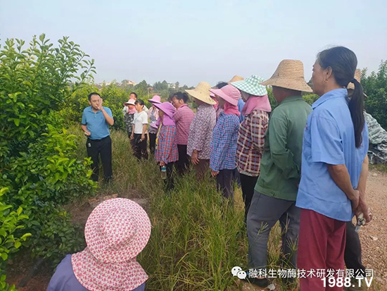 ���M(j��n)���g���^���������ٮa(ch��n)�I(y��)