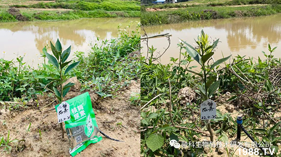 ���M(j��n)���g���^���������ٮa(ch��n)�I(y��)