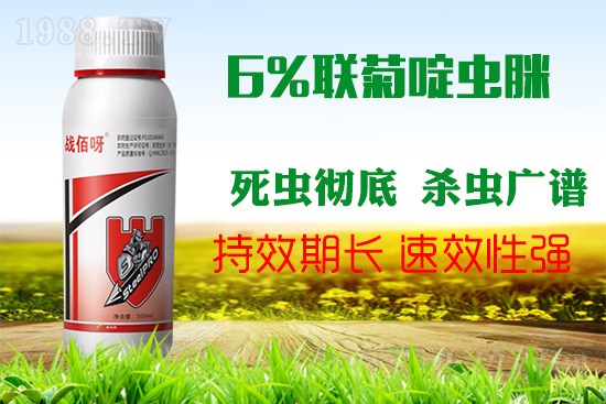 �������x���l(f��)�l��������ע����ǰ���Σ��ׂ������p�ɸ㶨��