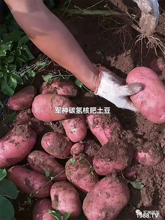 ɽ�|܊��̼������Ƽ����޹�˾28