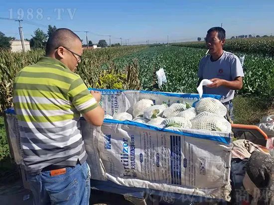     �@�����۷��r(n��ng)�YȦ������ԭ����Ȼ���ͳɱ��߷�Ч�_��(chu��ng)����