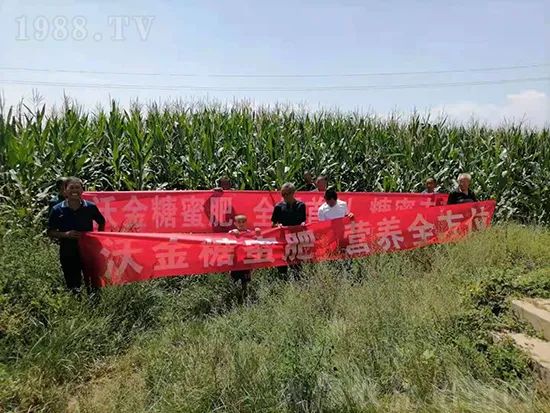     �@�����۷��r(n��ng)�YȦ������ԭ����Ȼ���ͳɱ��߷�Ч�_��(chu��ng)����