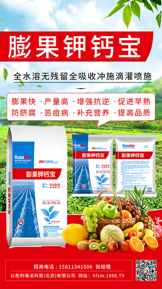 柑橘進(jìn)入膨大期，如何提升“顏值”？這個方案值得擁有！