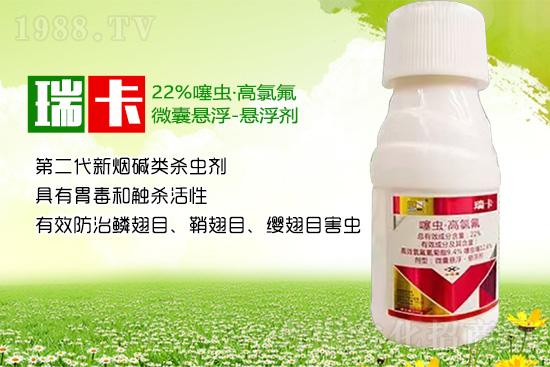 ɽ�|���r˼�_����Ƽ����޹�˾11