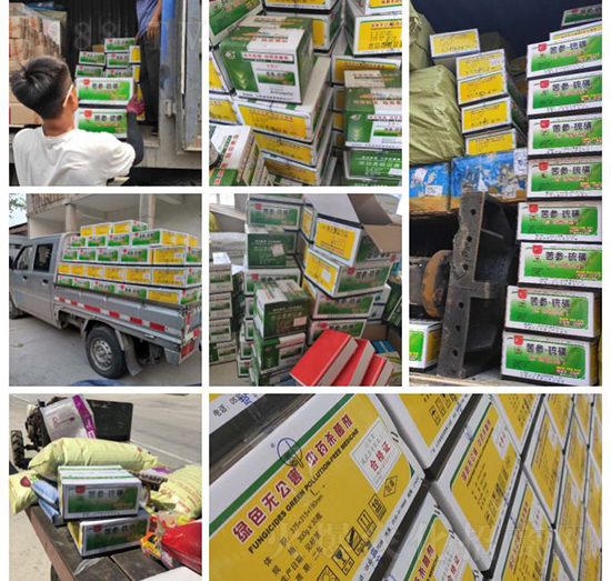 “植物癌癥-病毒病”被攻克了！純中草藥“殺菌霸主”