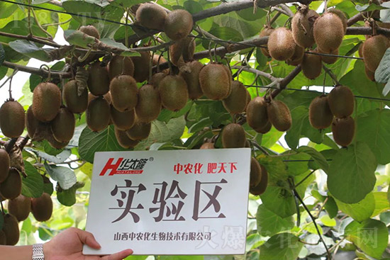 �J����������c(di��n)����Щ���J����������ôʩ