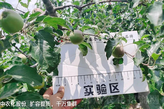     ����(sh��)�״���ɜp���r(n��ng)ˎ���������ƹ��ӵ����^Ʒ�|(zh��)���ɴ����߹�Ʒ�u���������׳��۲��u���߃r(ji��)�����Թ����״�Ŀǰ��Ȼ���҇����@����Ҫ�����������״��O��������Ǻã�Ҳ�ٲ�����