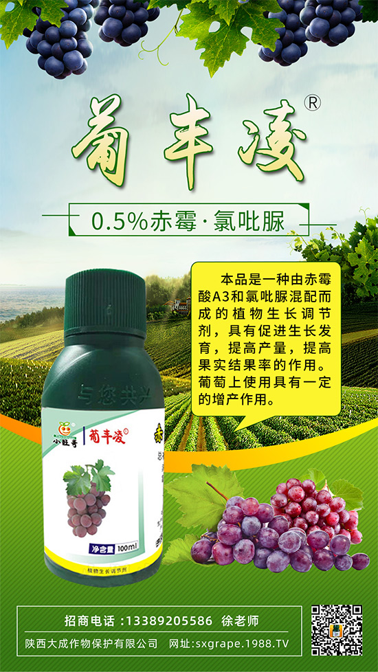 ���ѹ���ϡ�裬��С��������ô�k���@Щ�����ஔ��Ҫ