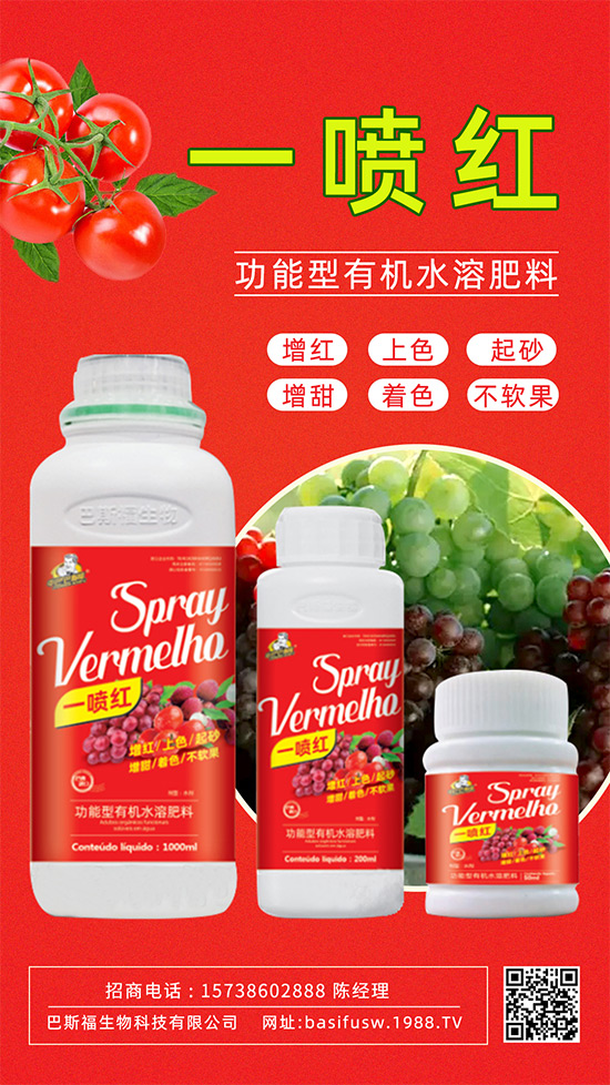 ����(sh��)�D(zhu��n)ɫ����������������������u�r(ji��)������ǰ���У�