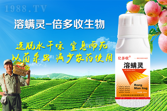 夏季二斑葉螨爆發(fā)怎么辦？二斑葉螨應(yīng)該怎樣防治？