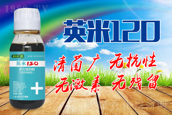 ��轰׷۲��İY����ʲô����轰׷۲����η�����