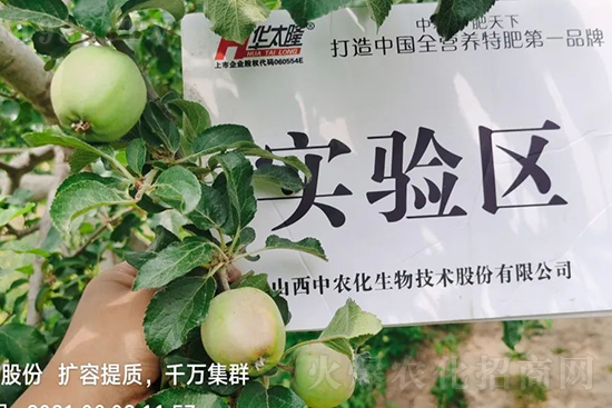     蘋果果個(gè)小是什么原因？解決對策有哪些？