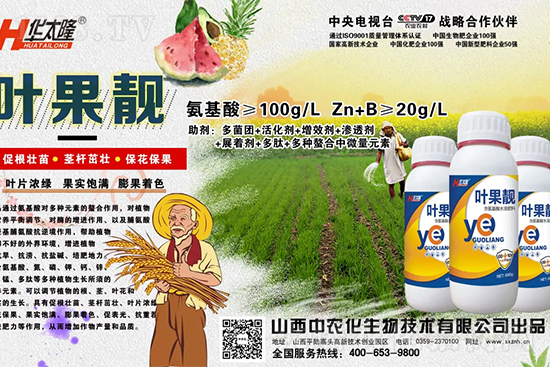     蘋果果個(gè)小是什么原因？解決對策有哪些？