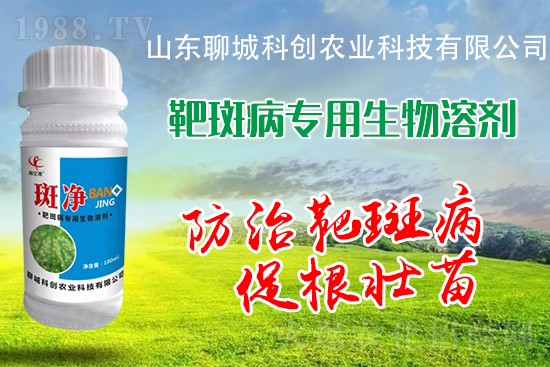 �S�ϰа߲�Σ��������������δ�ʩ����Щ��