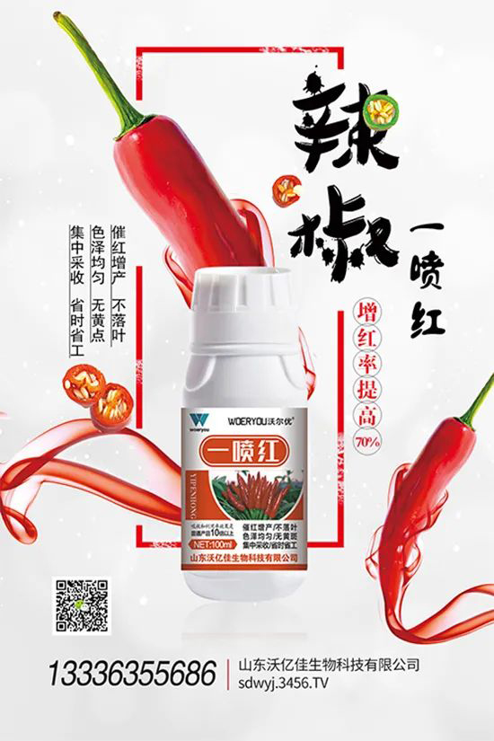 ���t�����95%���߼t�����~�����뷭�׷�����������һ���t��