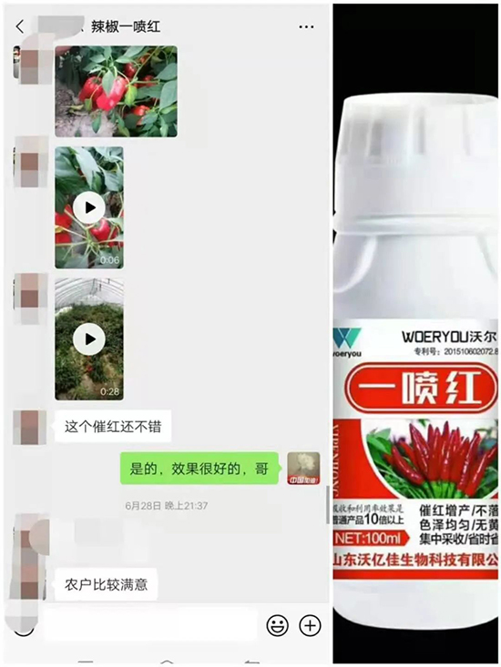 ���t�����95%���߼t�����~�����뷭�׷�����������һ���t��