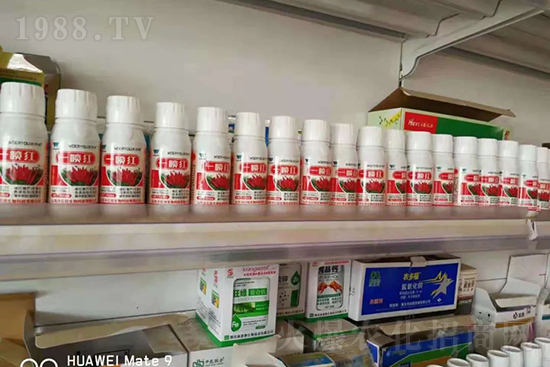 ���t�����95%���߼t�����~�����뷭�׷�����������һ���t��