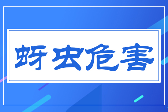 ���x(ch��ng)