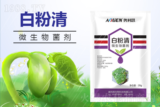 �W��������Ƽ����޹�˾6