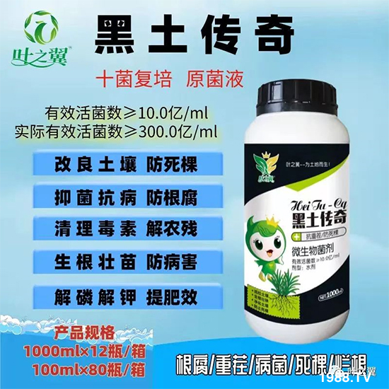 �ߜؼ���(ji��)����ȱ�}�Y����Ό�(du��)��