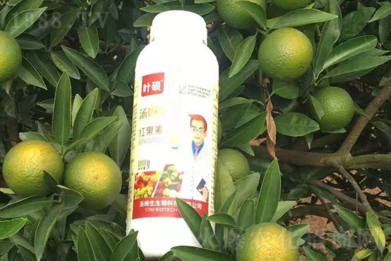 �t���ء�ֻ���D(zhu��n)ɫ�������D(zhu��n)ɫ�졢�����߼t���ó���