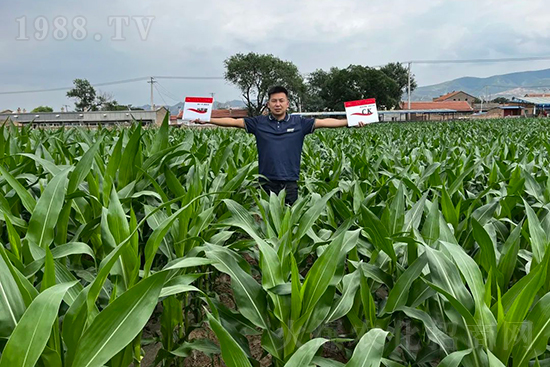 ��Դ������������I�B(y��ng)�a(b��)��ȫ����