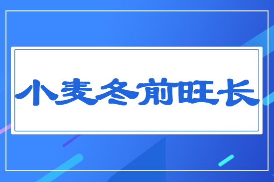 С����ǰ���L(zh��ng)