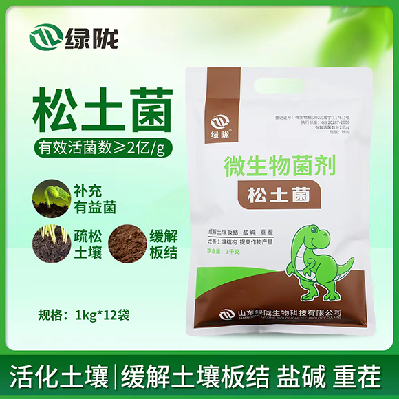 ΢�������-������-�G�]����2