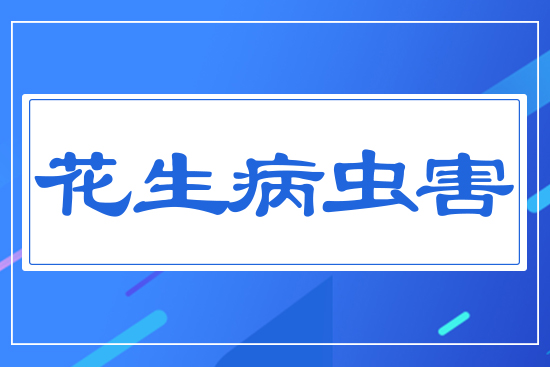 花生病蟲(chóng)害