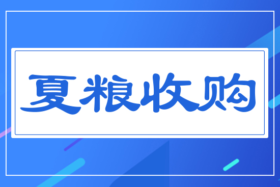 夏糧收購(gòu)